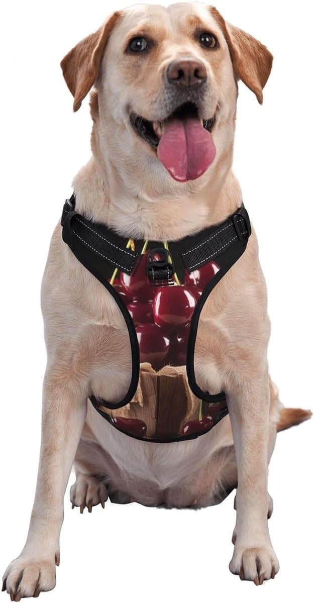 Hondentuigje - Honden harnas - Veilig wandelen - Reflecterende strips - Verstelbaar - Rood fruit print