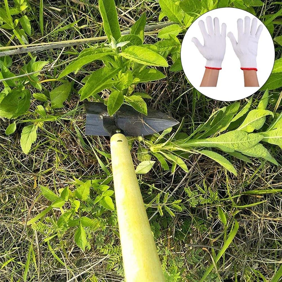 Japanse Lasher/Schoffel voor Onkruid wieden - Tuinhandschep met Scherpe Bladpunt