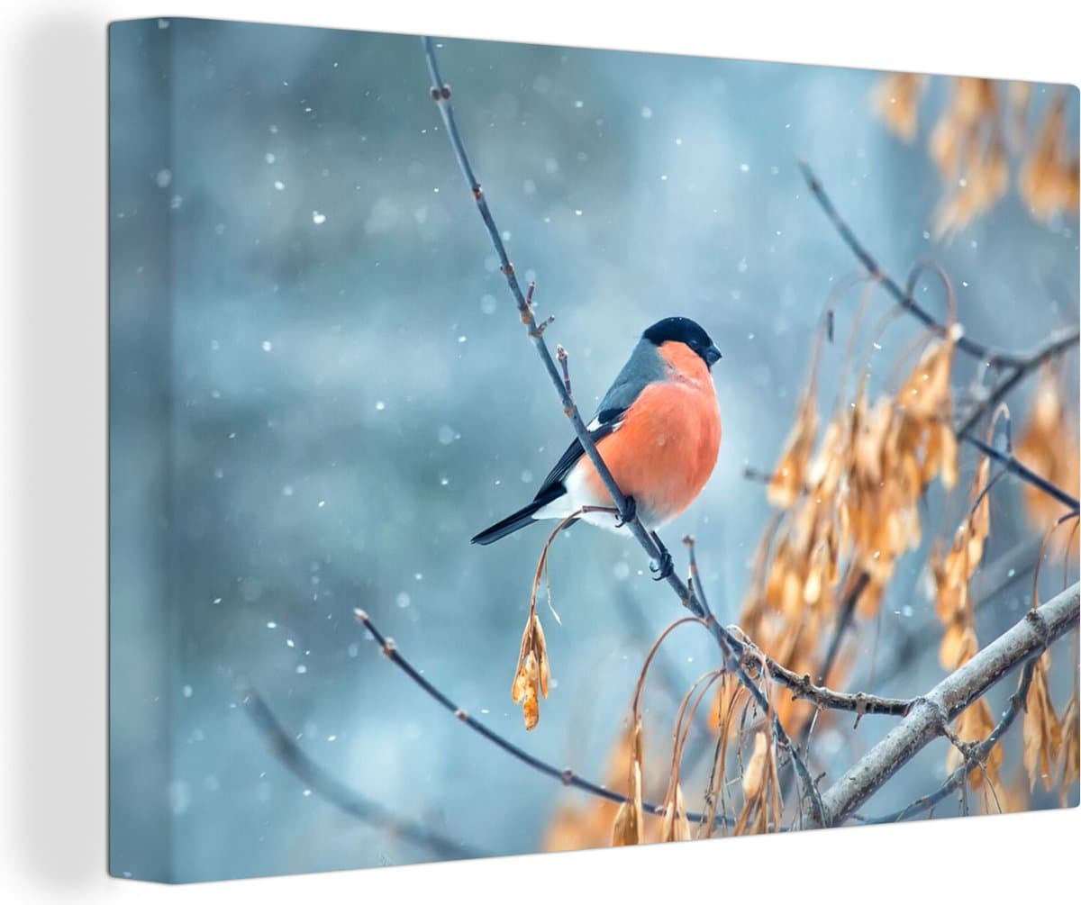 Canvas Schilderij Roodborstje - Vogel - Sneeuw - Herfstbladeren - 60x40 cm - Wanddecoratie