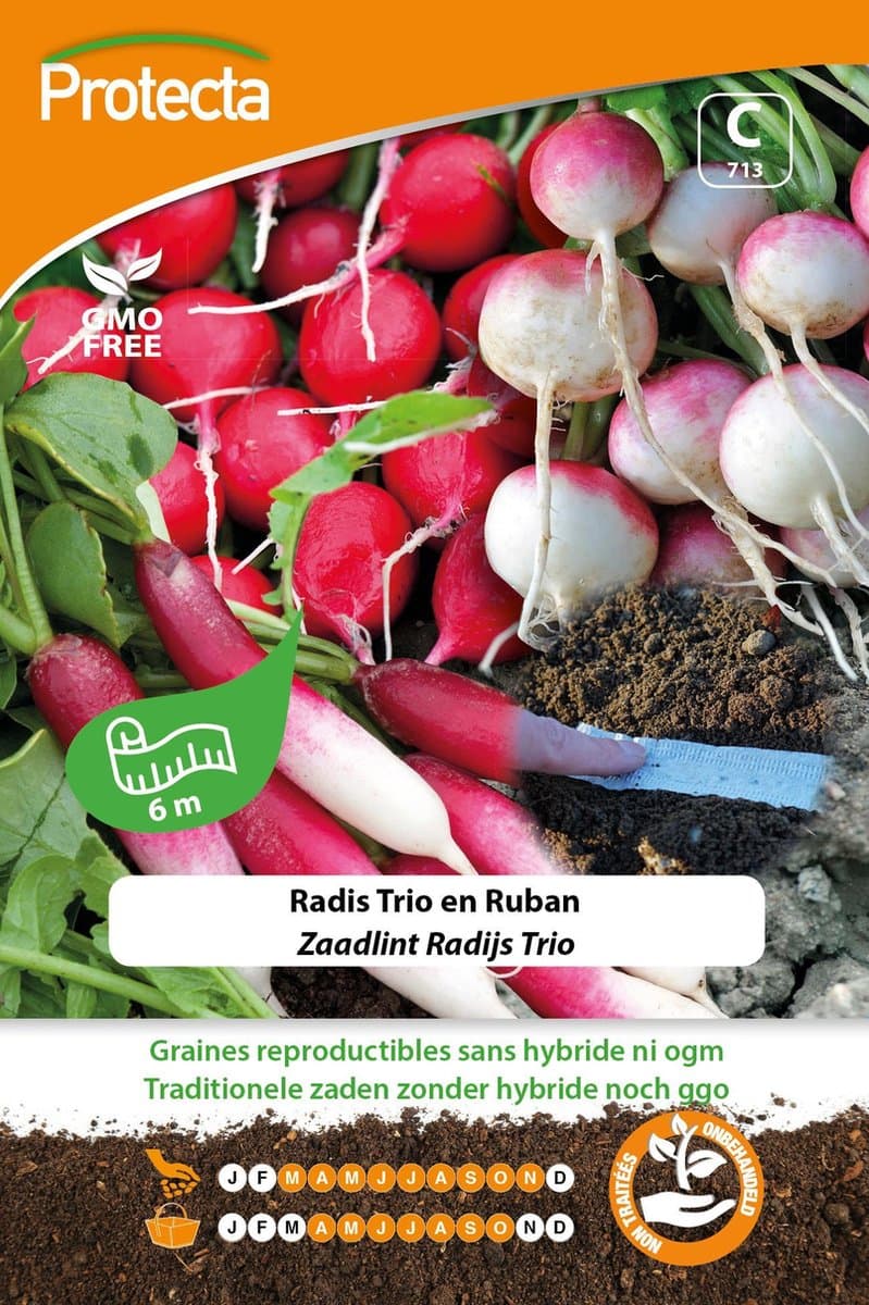 Protecta Groente zaden: Radijs Zaadlint Trio 6m