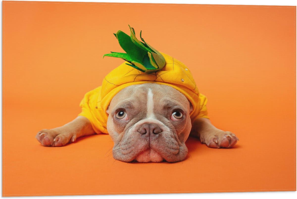 Vlag - Hond met Ananas Pak bij een Oranje Achtergrond - 75x50 cm Foto op Polyester Vlag