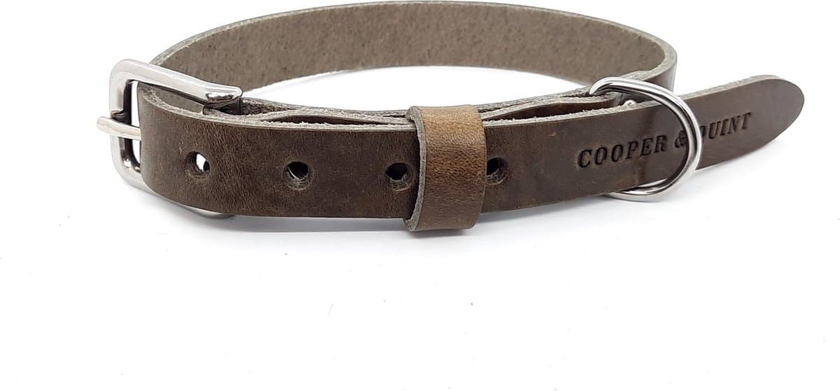 Cooper & Quint No Fuss - Halsband Hond - Leren Halsband Hond - Stone - ZIlver - Large