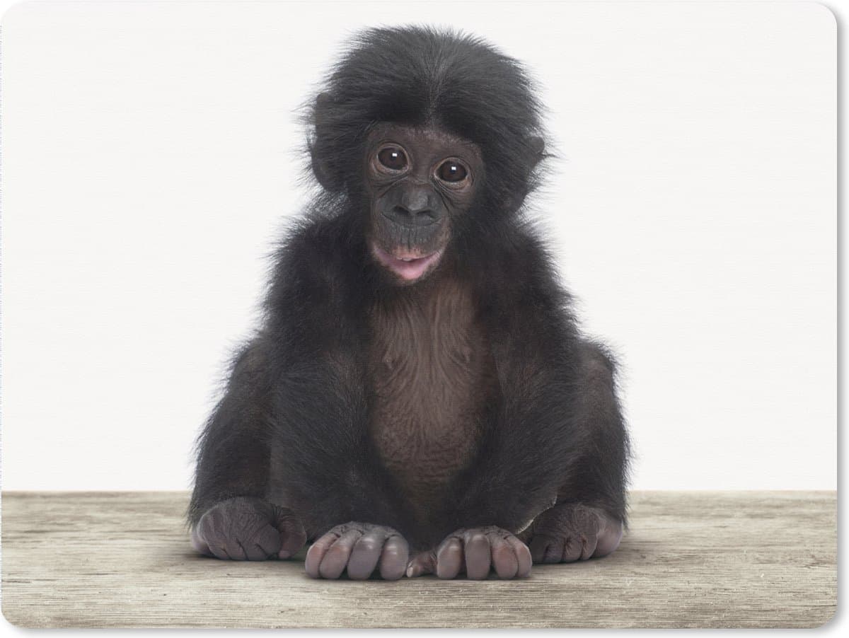 Muismat XXL 80x60 cm - Bureau onderlegger - Bureau mat Kind - Aap - Chimpansee - Baby dieren - Jongens - Meiden - Bureaumat - Gaming mousepad xl - Bureaulegger groot - Computer deskmat