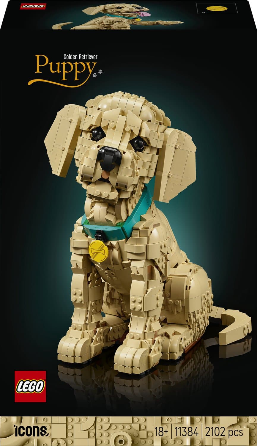 LEGO Icons Golden Retriever Puppy 11384