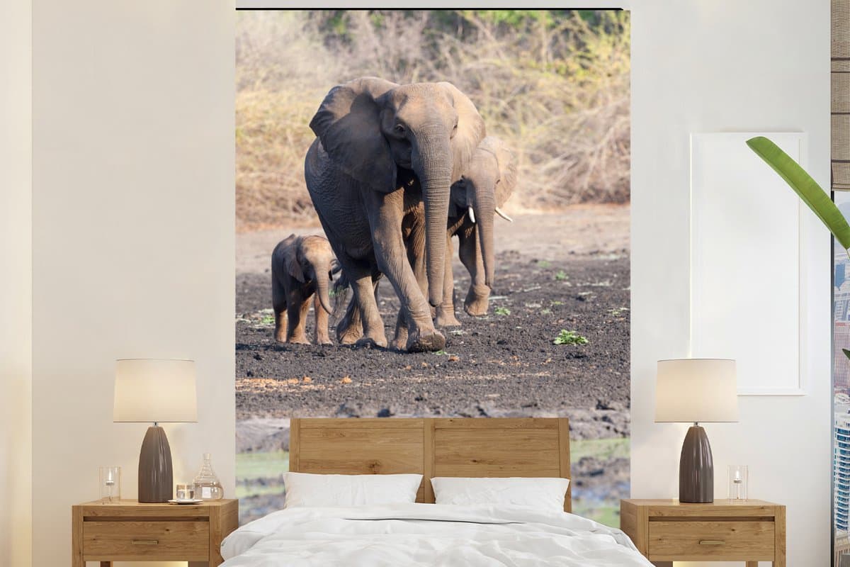 Behang - Fotobehang Twee olifanten met één jong in Nationaal Park Mana Pools in Zimbabwe - Breedte 200 cm x hoogte 300 cm