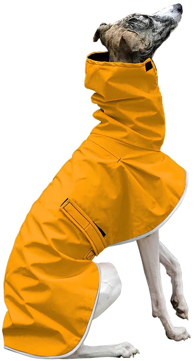 Regenjas Rain voor hond - Rood, S
