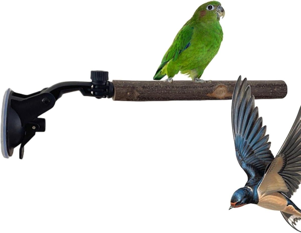 Raambaars Vogel - Vogelzitstok - Interactieve Training - Verstelbare Zuignap - 25 x 6.7 cm - N.v.t.