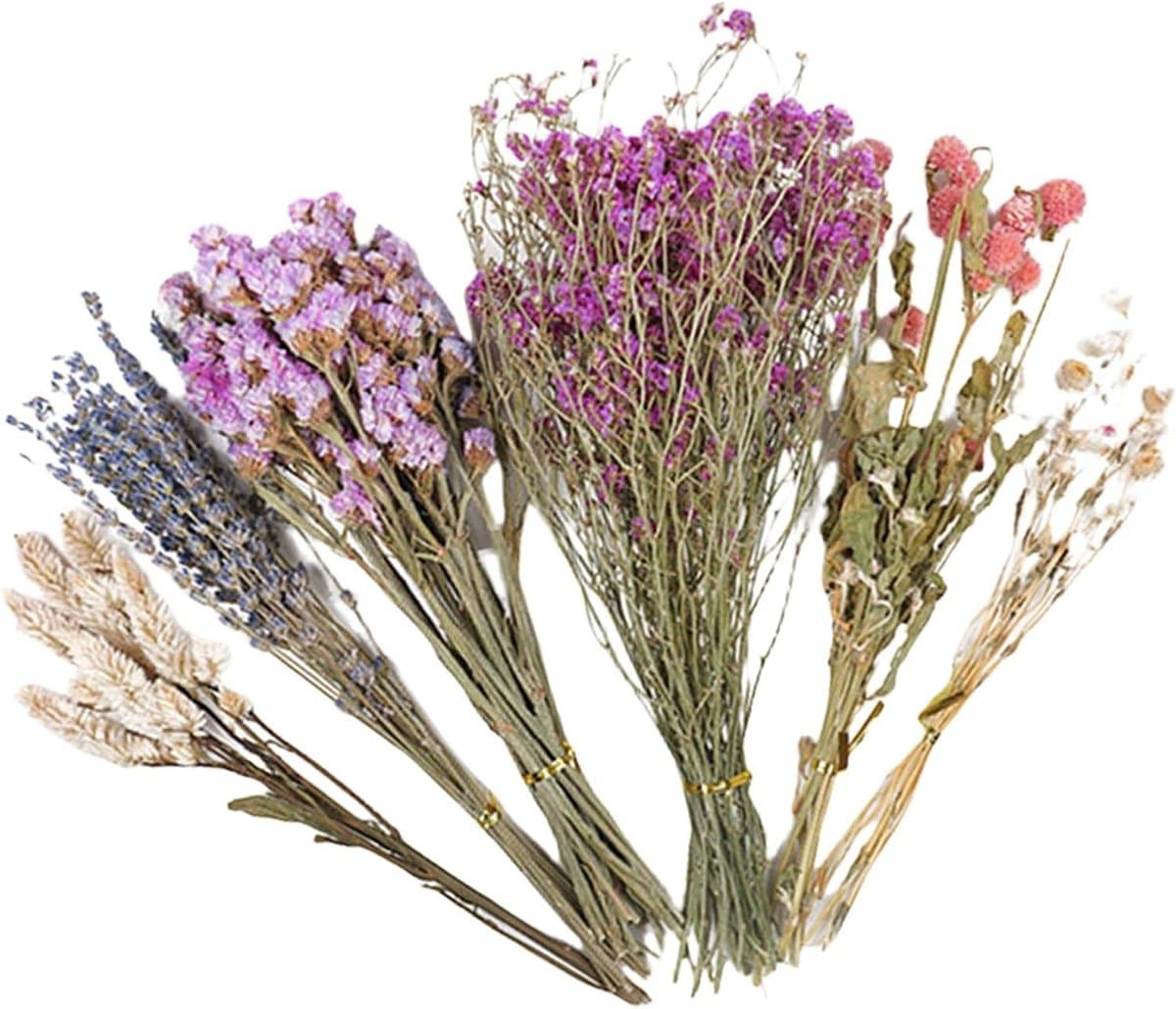 Hamster Bodembedekking - Bloemen decoratie - Nest bouwen - Natuurlijke bloemen - 25 cm - Natuurlijk