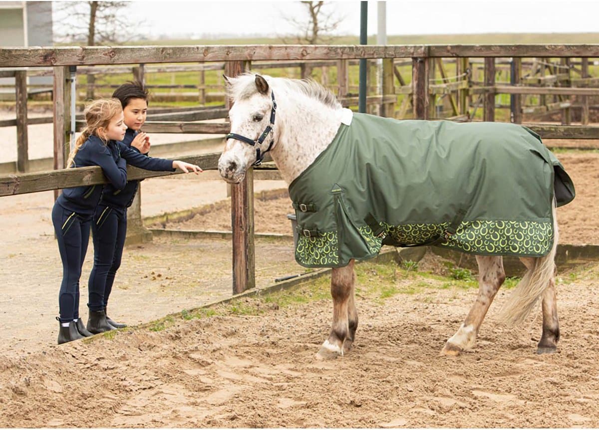 Harry's Horse Regendeken Harry's Horse Stout! Lime 200gr Groen - 85/115