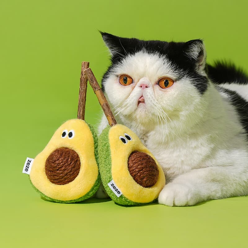 zeze speelbal met avocado en zilverbes