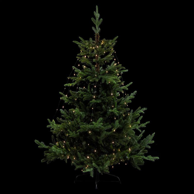 Feeric Technotrend Koperdraad Licht - 232 LEDs, 2,2 m, Warm Wit, Buiten