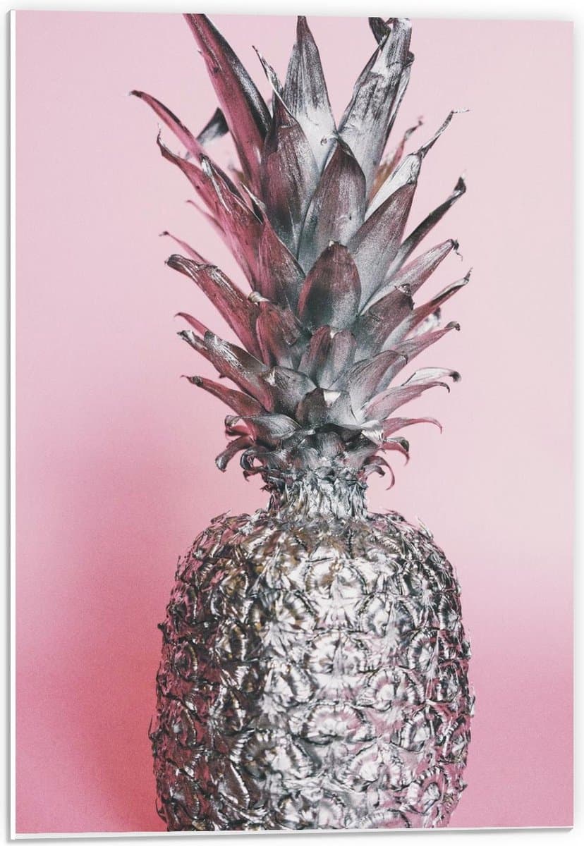 Forex - Zilveren Ananas met Roze Achtergrond - 40x60cm Foto op Forex