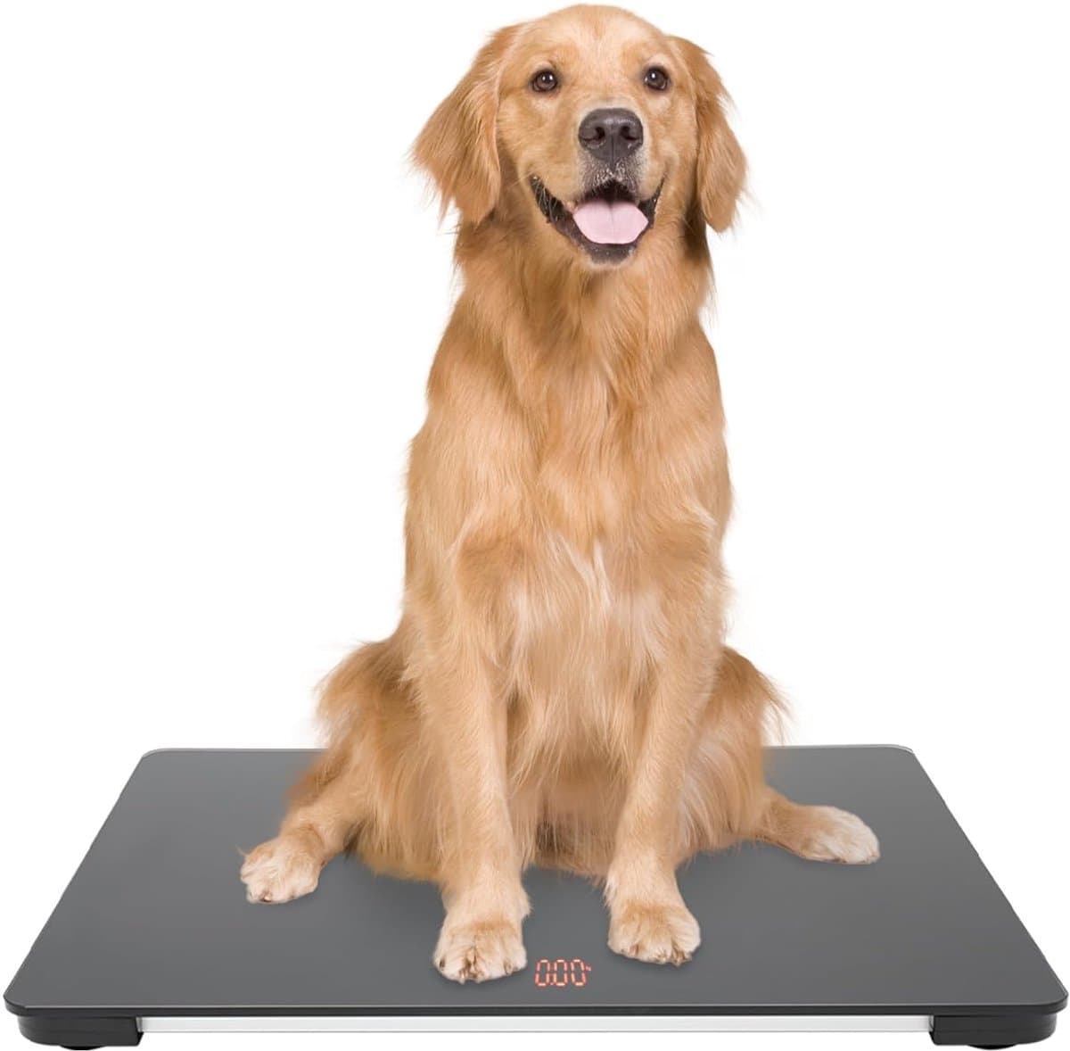 Dierenweegschaal - Digitale weegschaal huisdier - Gezondheid monitoren - Grote capaciteit 100kg - 65x45cm LCD display - Zwart