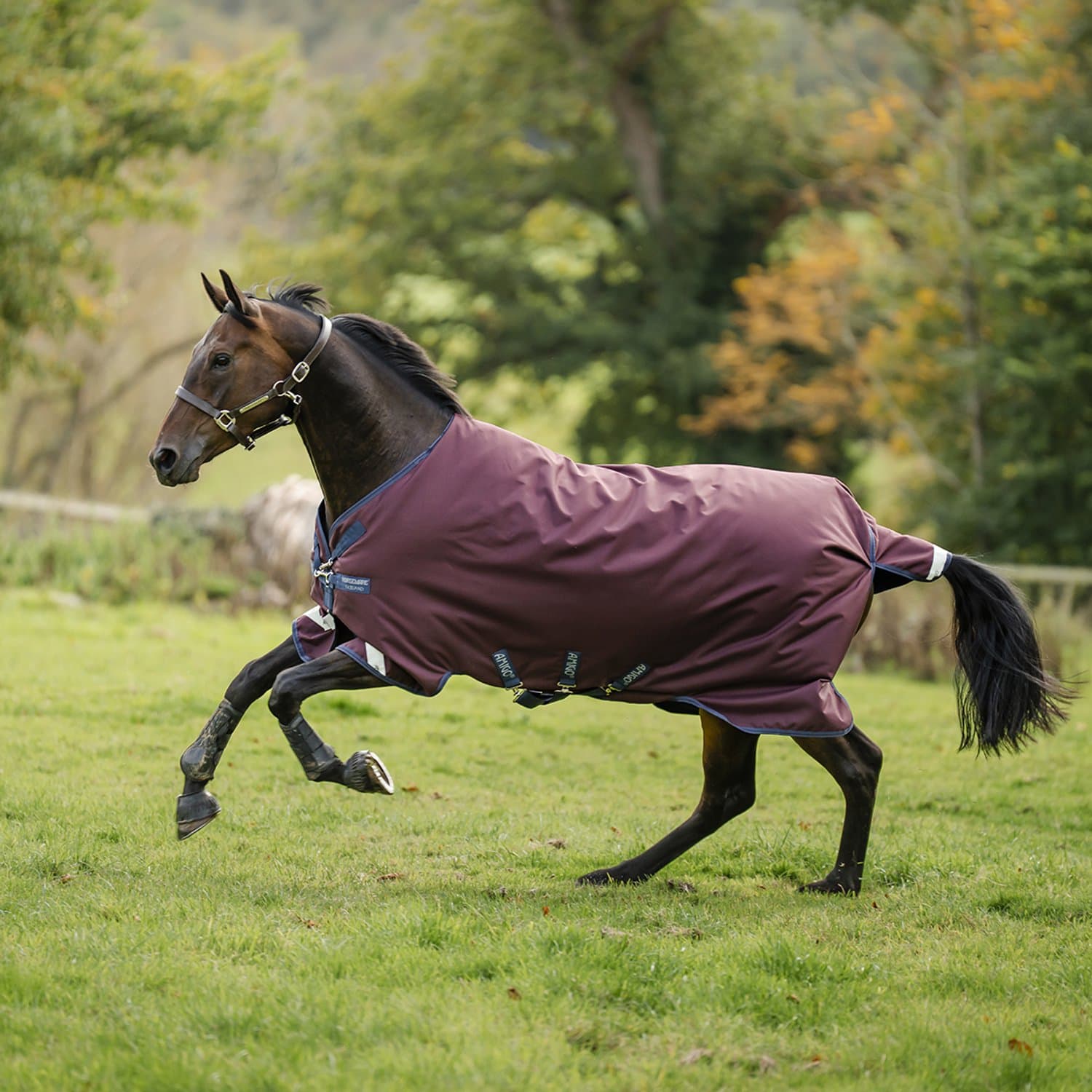 Horseware Regendeken Horseware Amigo 1200d 0gr Donkerrood - 140/191