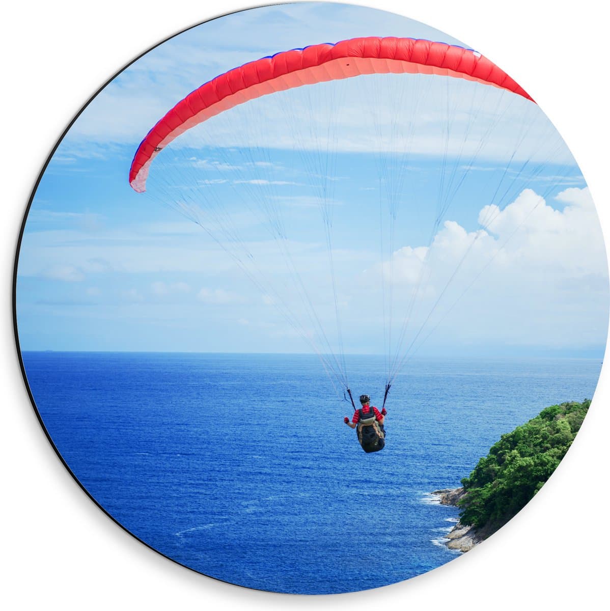 Dibond Muurcirkel - Zweefvlieger boven het Water - 30x30 cm Foto op Aluminium Muurcirkel (met ophangsysteem)