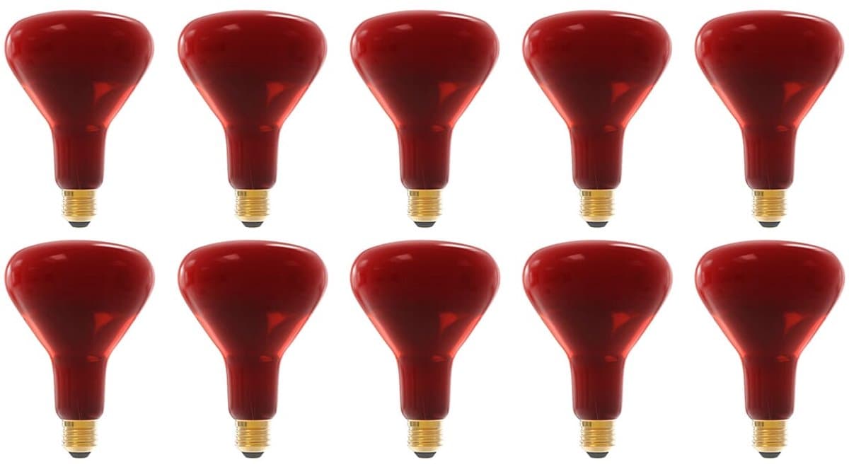 Technik E27 Infraroodlamp Dimbaar 250W - Volledig Infrarood Lamp R125 - 10 stuks