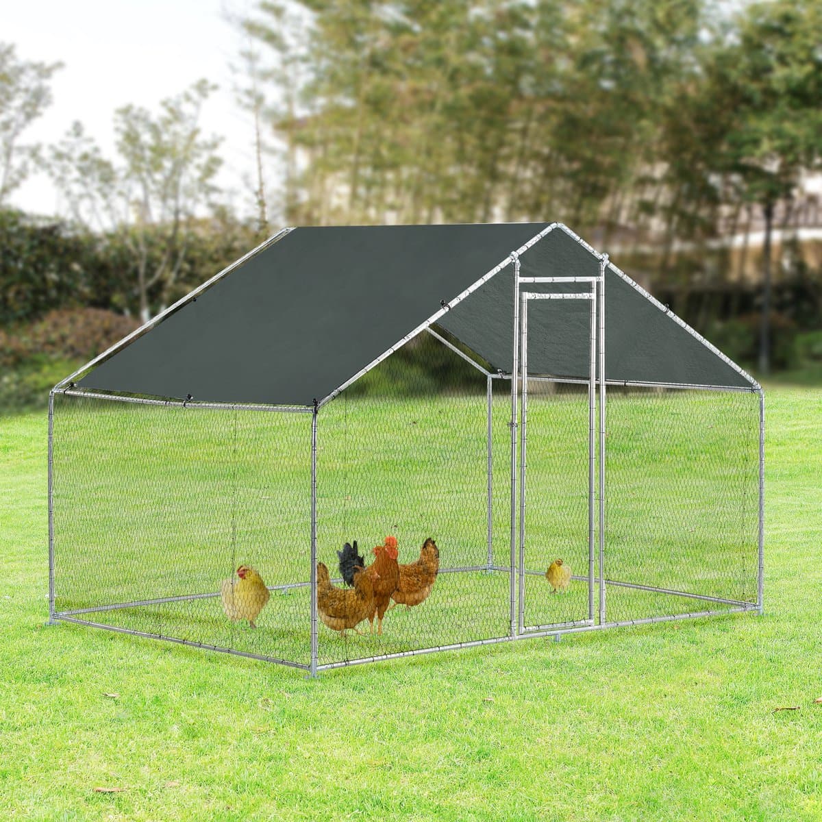 Kippenren Wels buitenren 3x2x2 m donkergroen pro.tec