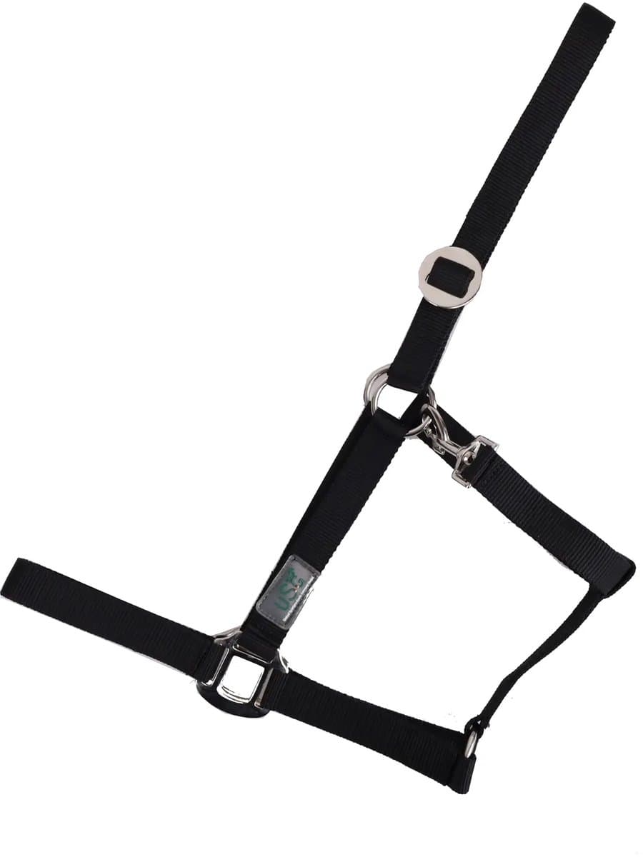 Halster voor paarden USG Basic