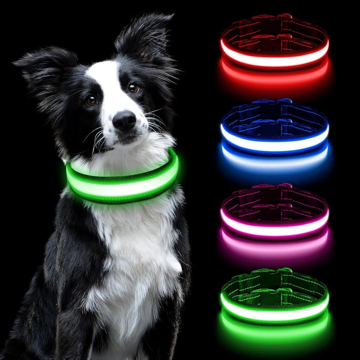 Lichtgevende Hondenhalsband – LED Halsband – Honden Halsband - huisdier verlichting