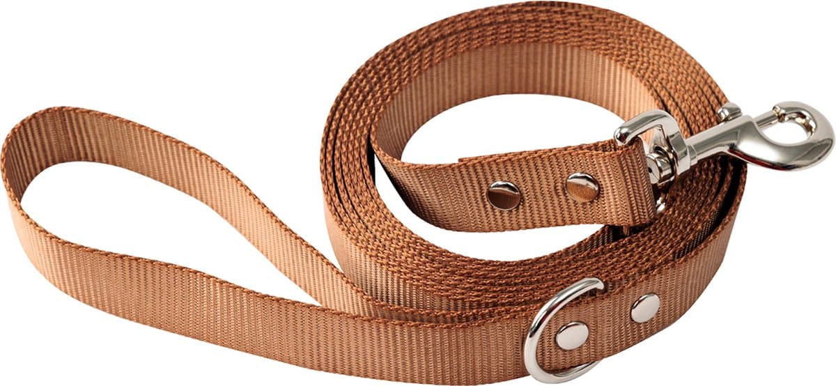 Hondenriem - Hondenhalsband - Sterk - Stevig - 300 cm - Bruin