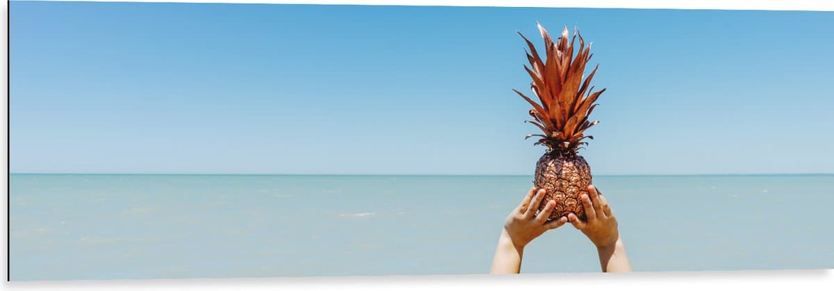 Dibond - Ananas boven de Zee - 120x40 cm Foto op Aluminium (Wanddecoratie van metaal)