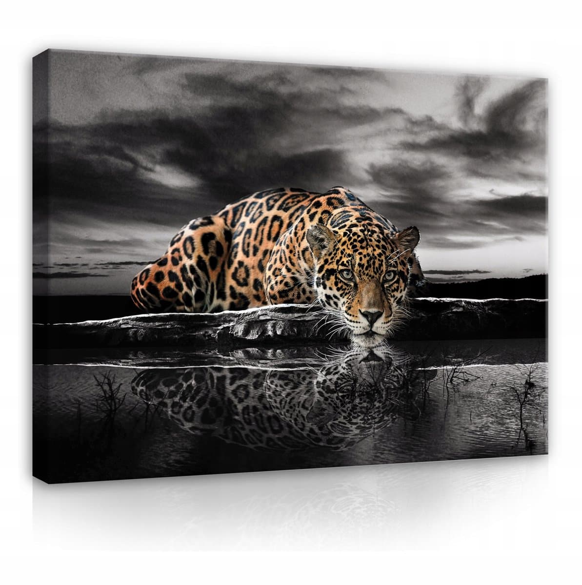 WALLARENA - Canvas schilderij - 100x70 cm - afbeelding van een tijger, jaguar en cheeta