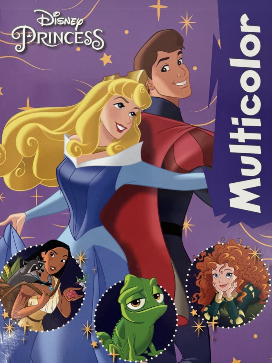 Kleurboek Disney Princess met voorbeeld in kleur
