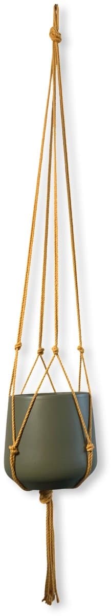 Minimalistische Plantenhanger - Kies kleur en lengte - Okergeel - 110 cm lang - Katoenkoord - Geschikt voor Pot met Diameter t/m 20 cm - Handgemaakt in ons Macramé Atelier - Prijs per Stuk - Let op: Exclusief Pot - Inclusief Verzendkosten