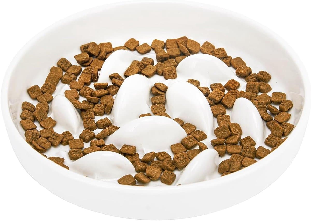 Keramische Voerbak - Anti-schrokbak Kat - Rustig Eten - Ondiep & Snorhaarvrij - 16 cm Diameter - Wit