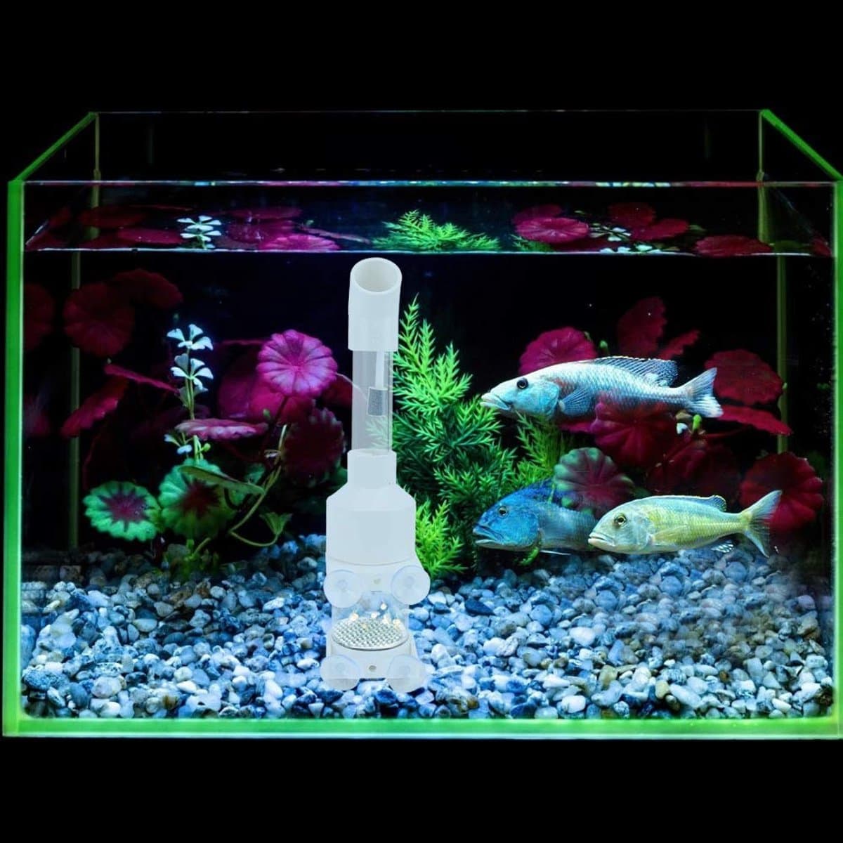 Dailygoods- Incubator Viskwekerij Acryl 25cm - Broedmachine voor Eieren - Aquarium Cichliden - Viskwekerij - Model AQ50025 - Diameter 50mm