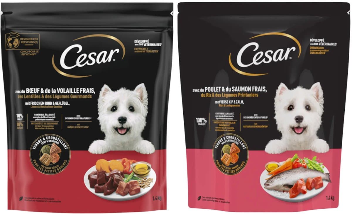 Cesar Kip & Zalm en Rund & Gevogelte - Proefpakket - Hondenvoer - 2800g (2x1400g)