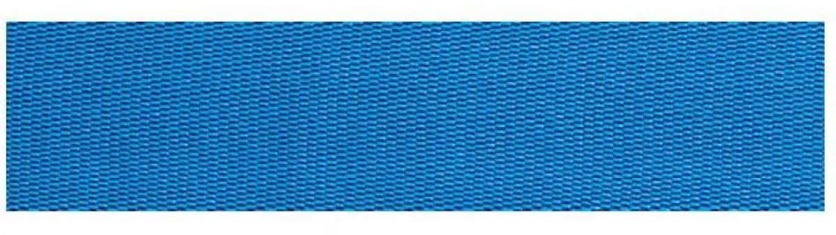 Beal Tubular 26 Mm Sling Blauw 100 m