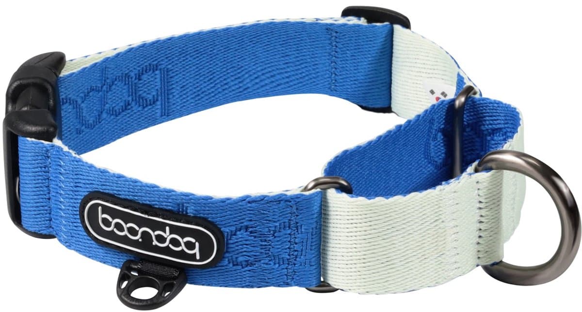 Boondog - Martingale Collar - Cream/Blue - M