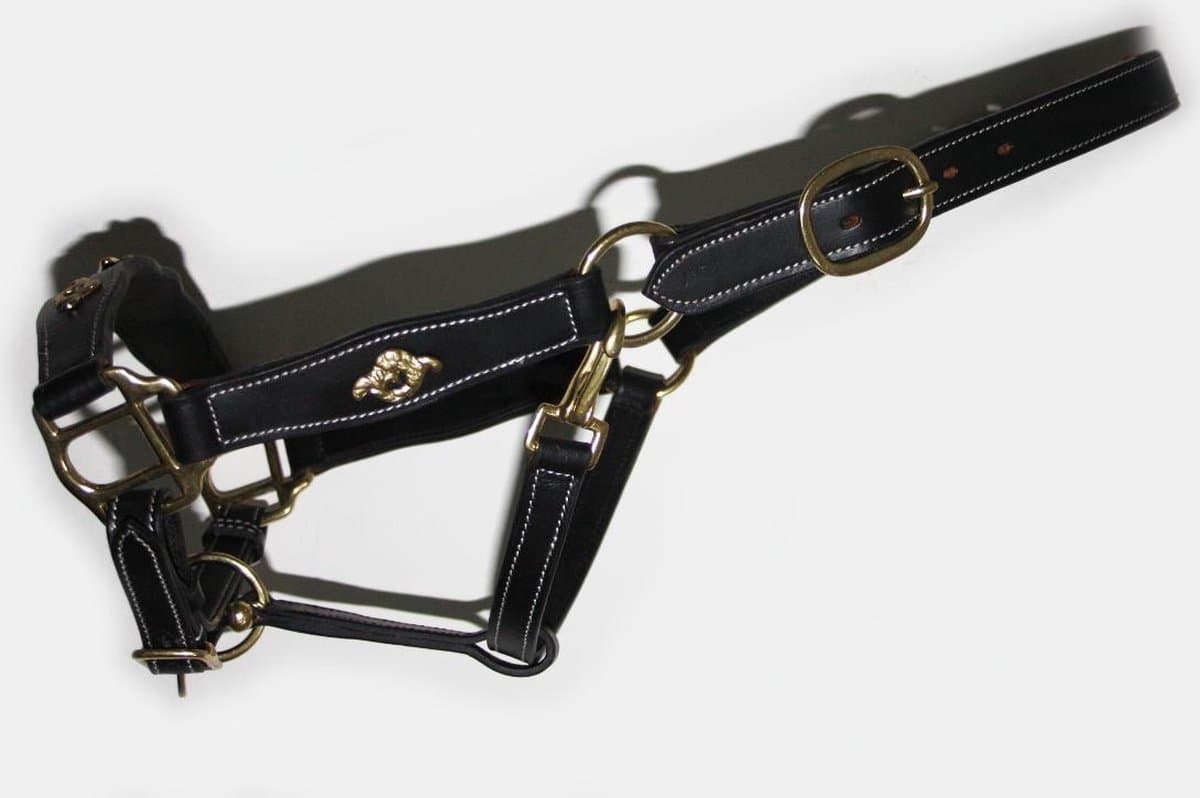 Lederen Barok halster, zwart met goud, PONY