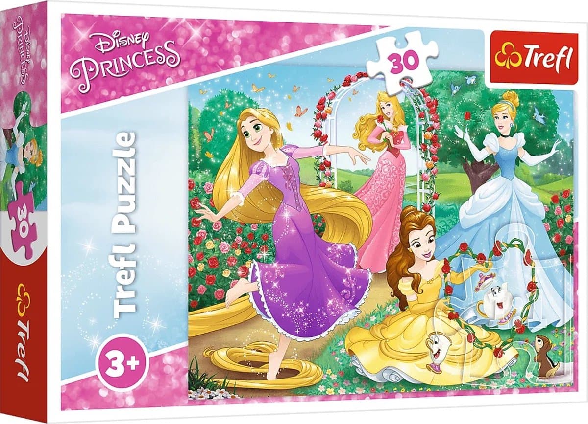 Princess Puzzel - The magical world of Princesses