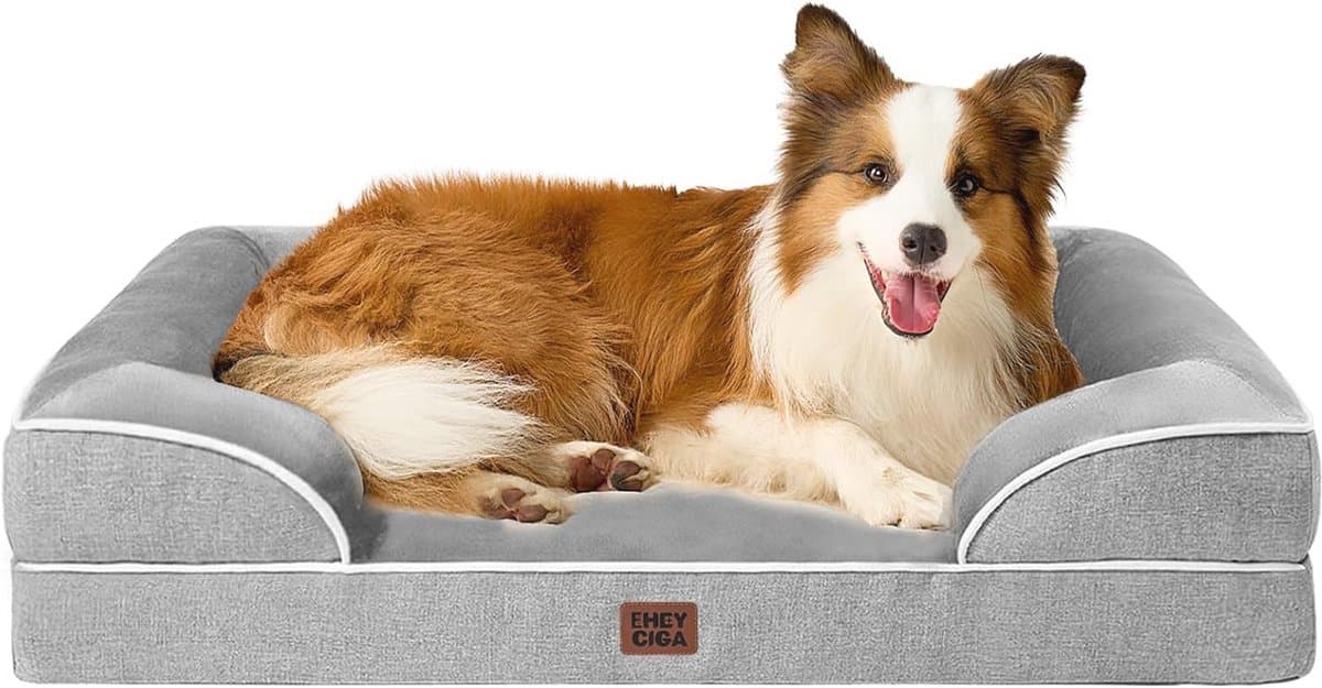 Orthopedisch Hondbed voor Grote en Middelgrote Honden met Memory Foam en Antislip Ondergrond