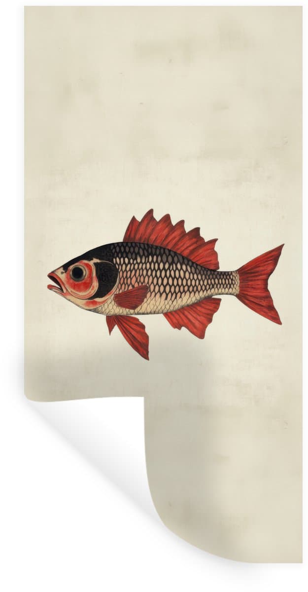 Muurstickers - Sticker Folie - Schubben - Rood - Vis - Vinnen - 60x120 cm - Plakfolie - Muurstickers Kinderkamer - Zelfklevend Behang - Zelfklevend behangpapier - Stickerfolie