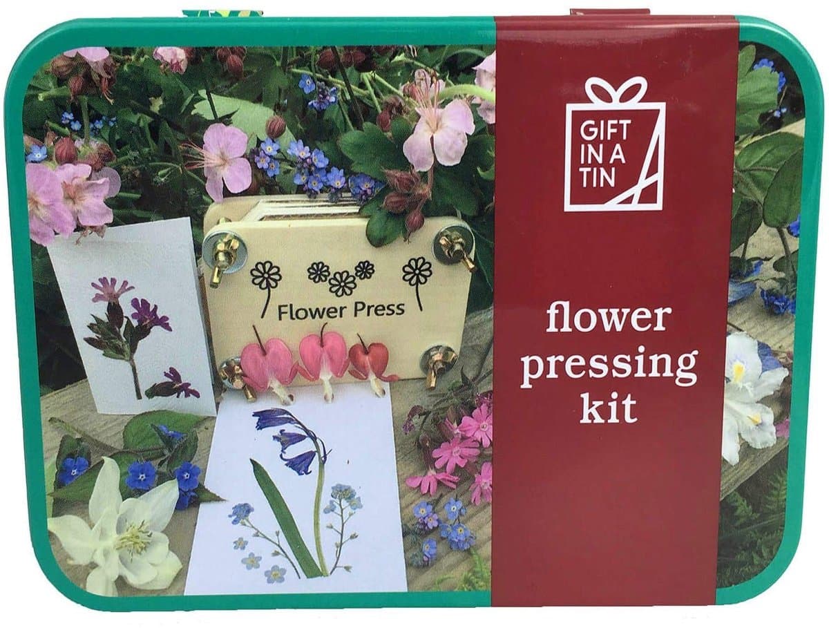 Dailygoods- Bloemenpersset In Blik - Bloemenpers - Pincet - Kaarten/Enveloppen - Lijm/Perspapier - Geschikt Vanaf 6 Jaar