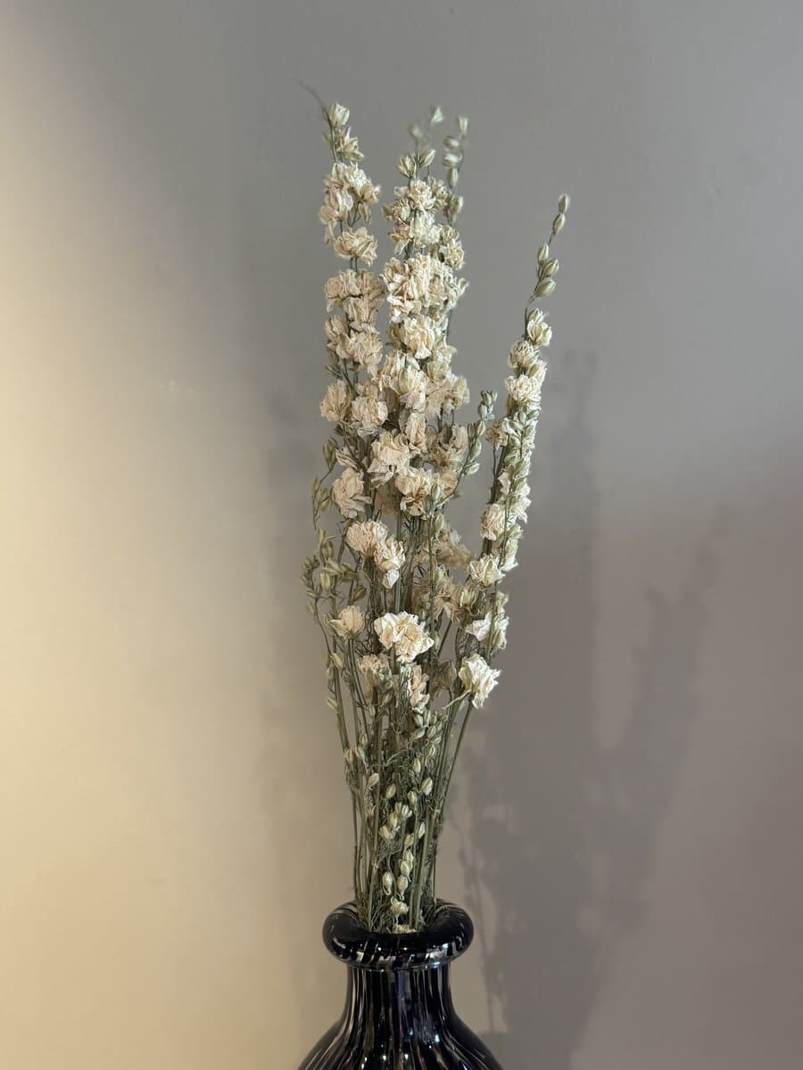Wit gedroogde Ridderspoor 60CM bos