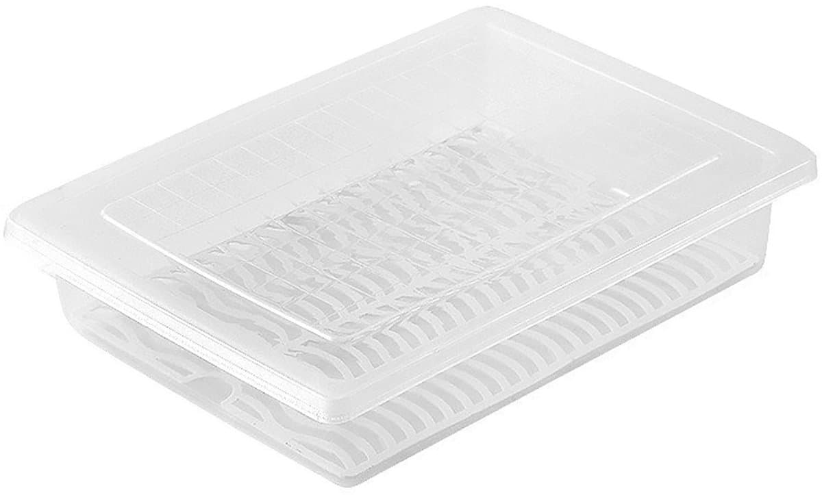 Dailygoody - Koelkast opbergdoos - Transparante voedselopslagcontainer - Perfect voor vis, fruit en groenten - Ruimtebesparend ontwerp - Houdt voedsel