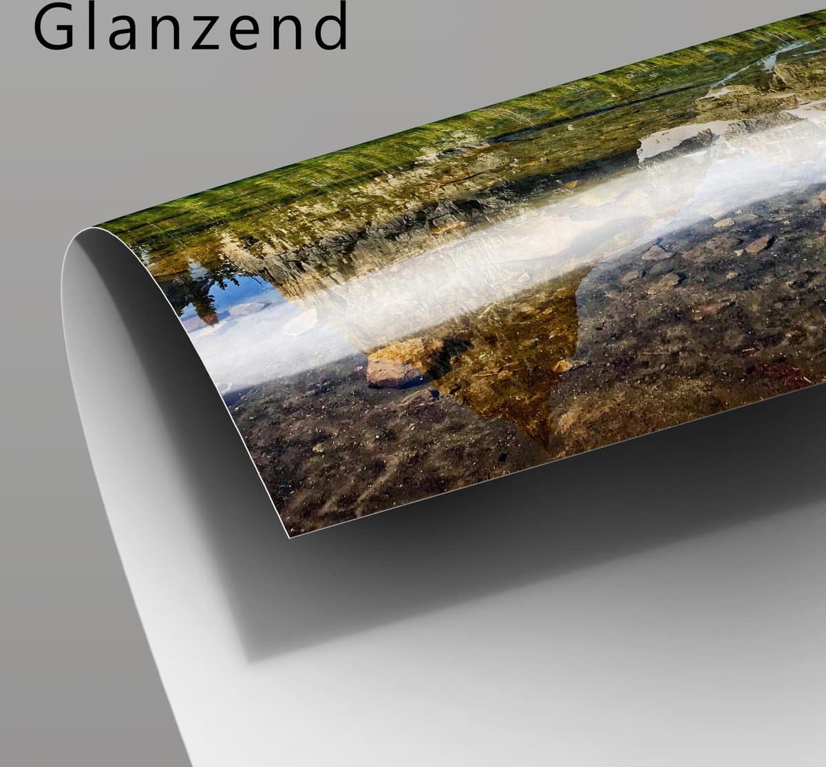 Poster Glanzend – Vleermuis Hangt aan een Boom - 105x70 cm Foto op Posterpapier met Glanzende Afwerking