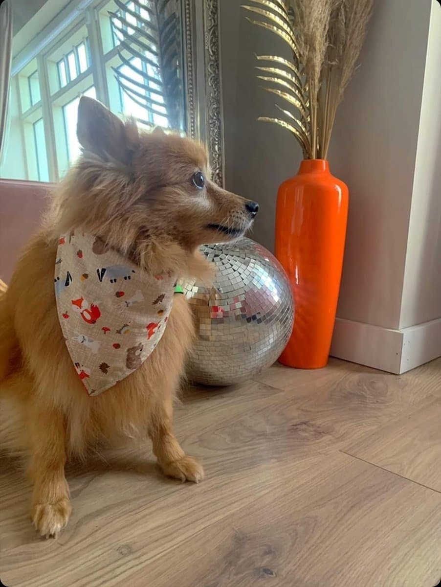 Omkeerbare Hondensjaal met Bosdierenprint en Fleece Voering voor Elke Hond en Kat
