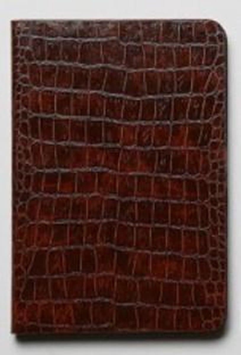 Zenus hoes voor Ipad Mini 3 and Retina Nuovo Diary Avoc - Brown