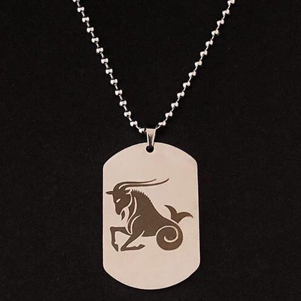 Steenbok / Capricorn Sterrenbeeld Ketting met Hanger - Kettingen Heren Dames - Astrologie - Papa Cadeau Voor Mannen - Vaderdag