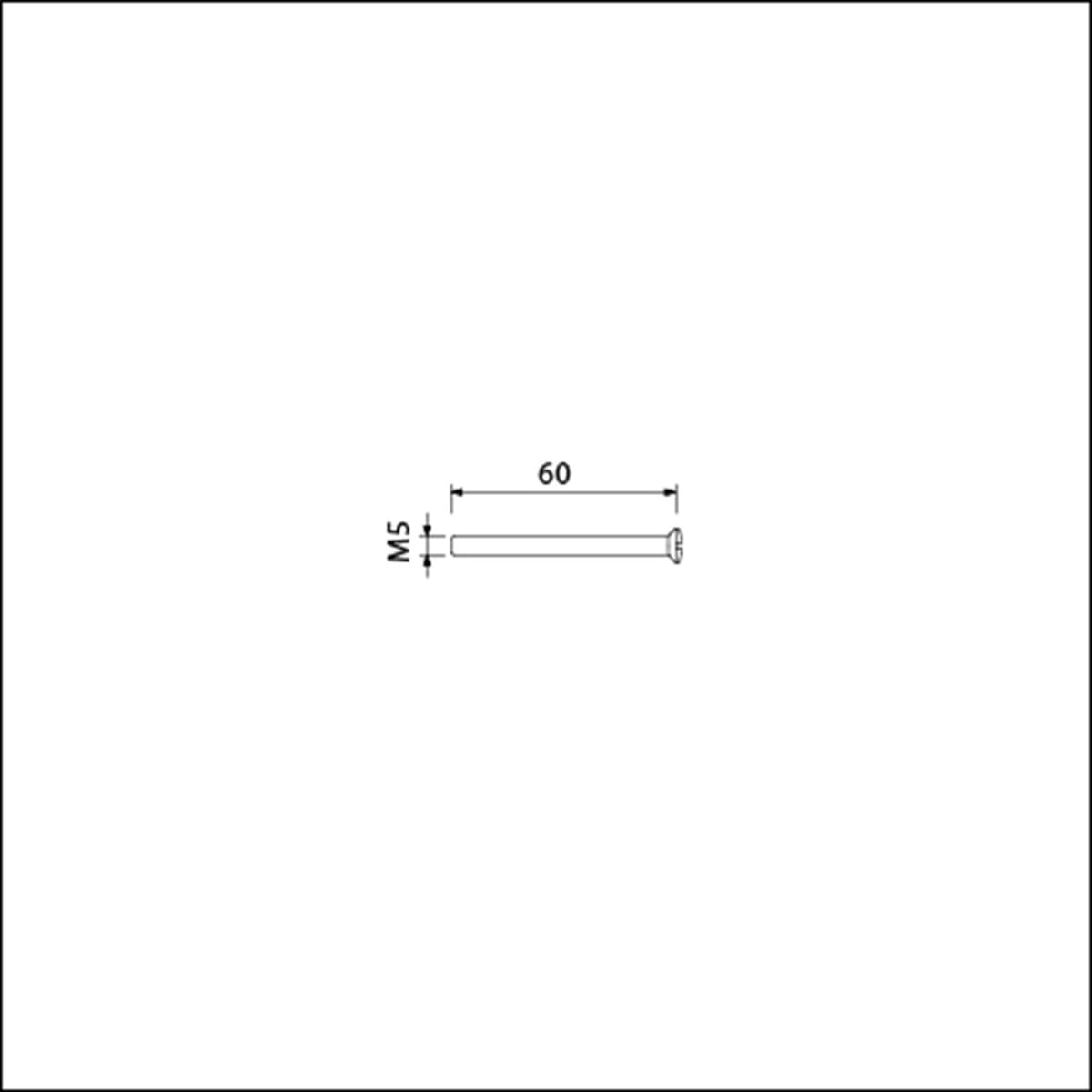 Ami patentschroef M5x60 mm RVS verpakt per 10 in zakje 900233