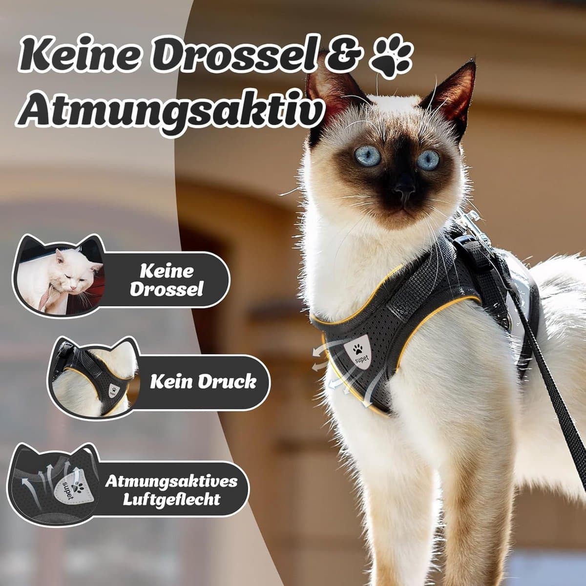 Verstelbaar Veilig Kattenharnas met Lijn - Anti Ontsnapping Loopset voor Kitten en Kleine Hond