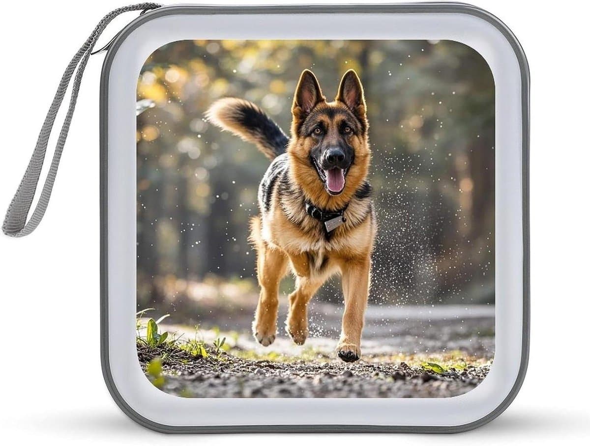 CD DVD Opbergdoos - Disc Binder Organizer - Schijven Organiseren - Waterbestendig Plastic - 40 Schijven Capaciteit - Stijl