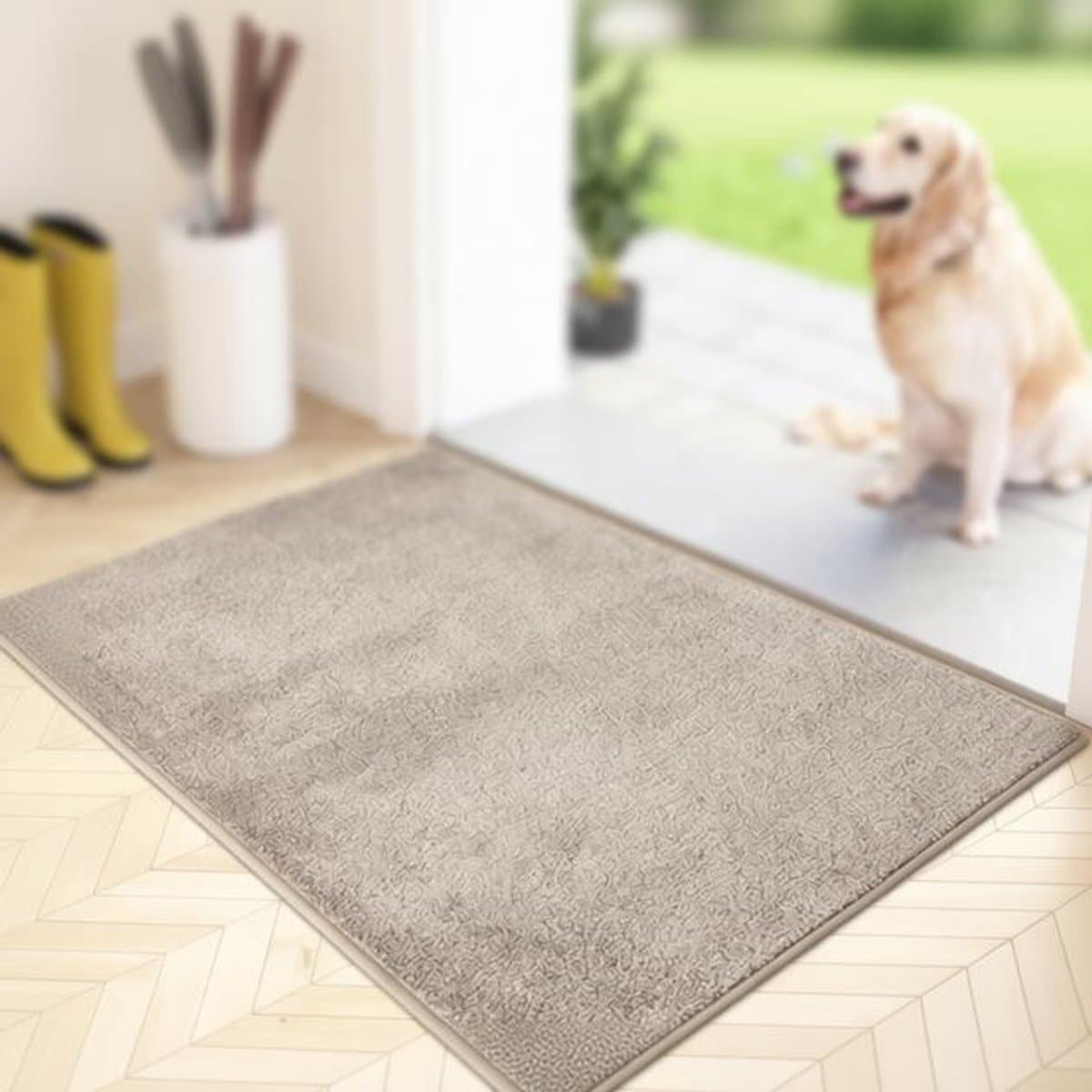 ElleMooi Antislip Vuilvanger Voetmat 50x80 cm – Machine Wasbare Deurmat met Waterabsorberende Microvezels, Beige