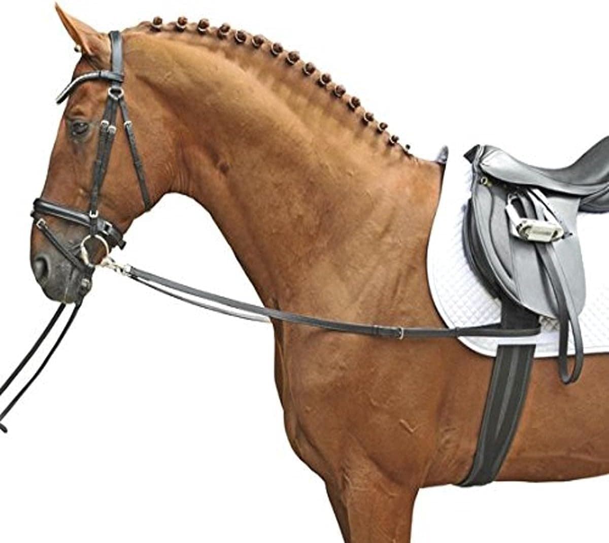 Zwart hoofdstel Leer Voor Zwart Paard Shire Warmbloed