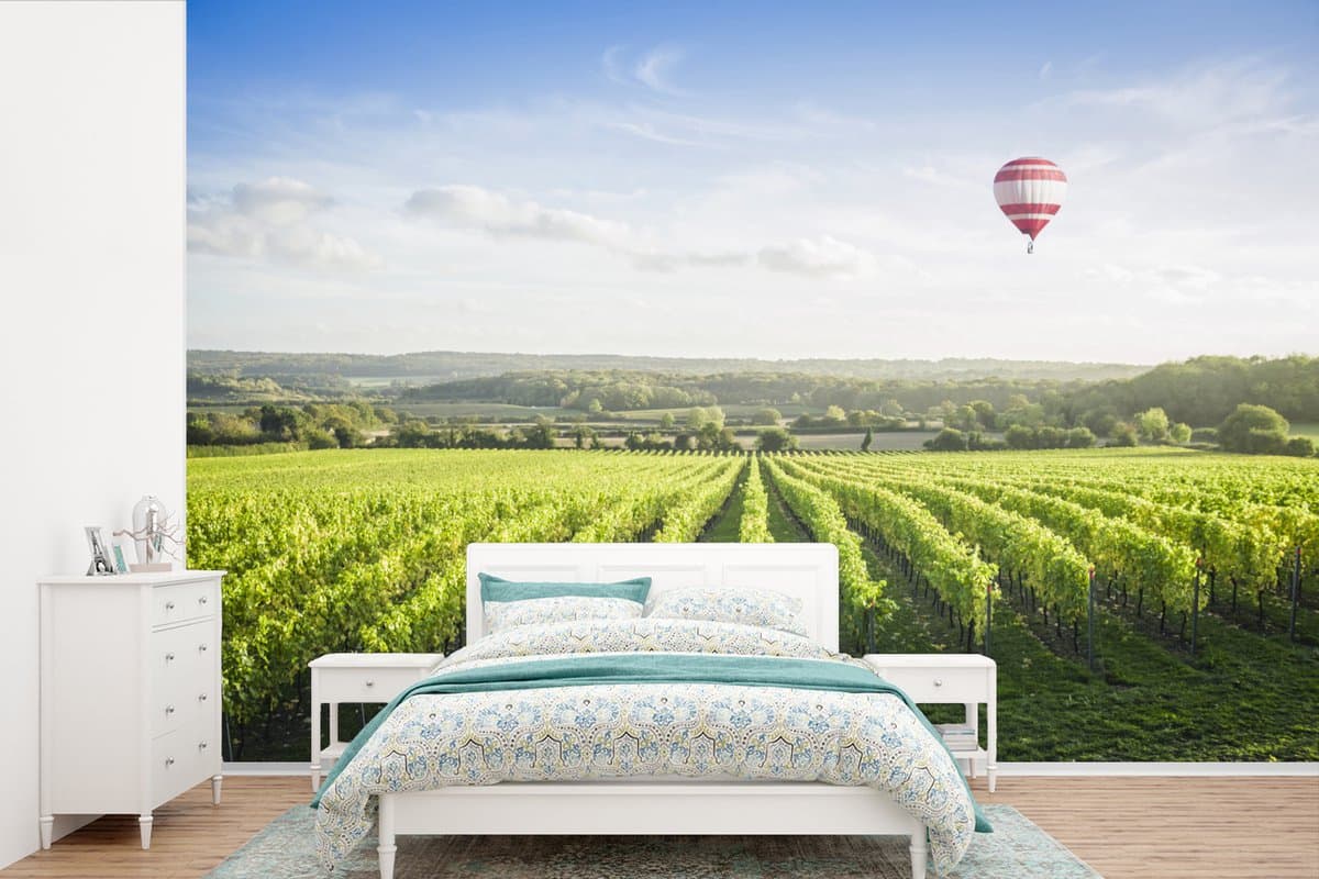 Behang - Fotobehang Luchtballon - Druivenplant - Licht - Breedte 600 cm x hoogte 400 cm